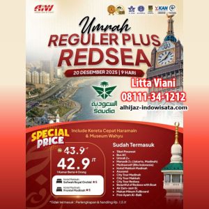 reguler redsea